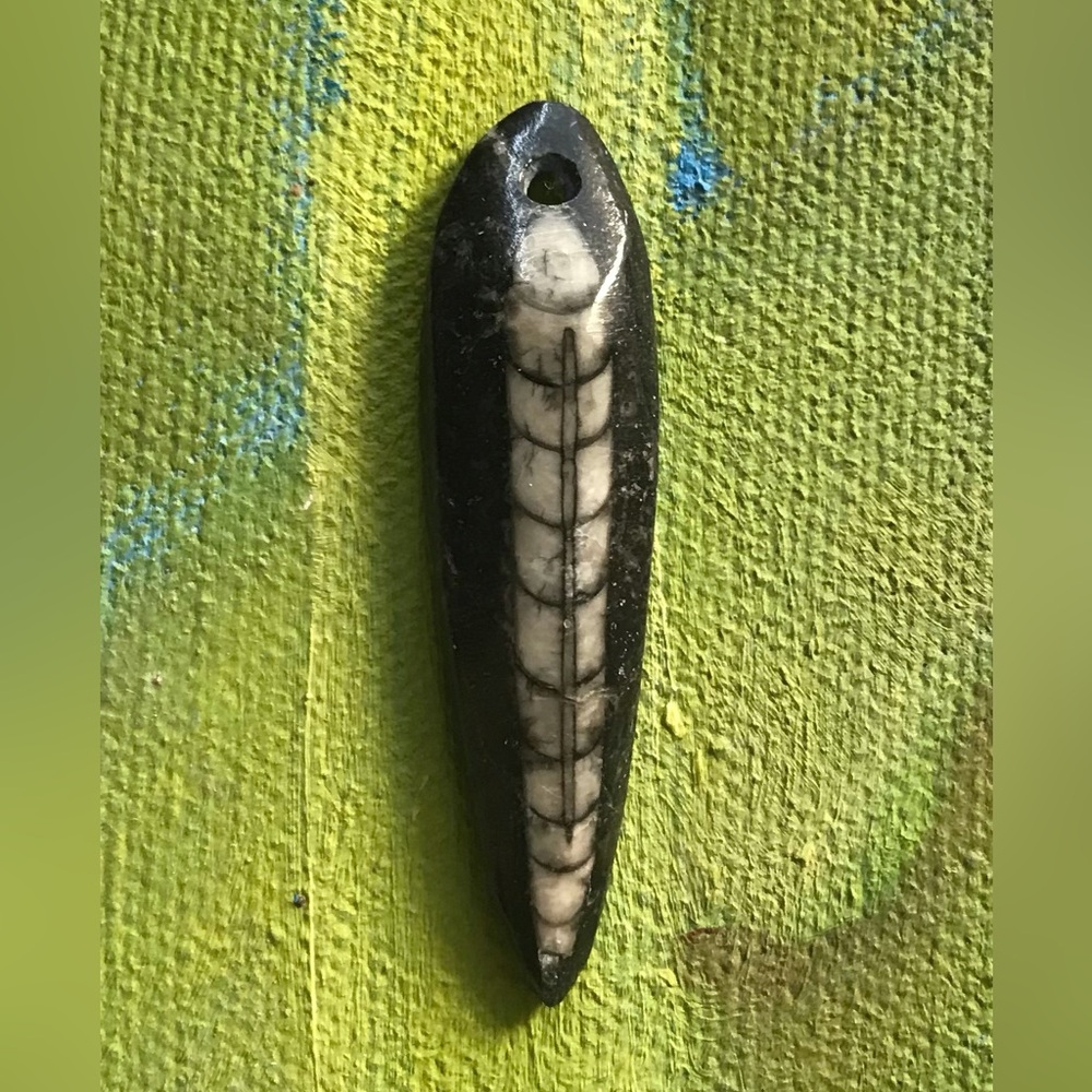Orthoceras Pendant